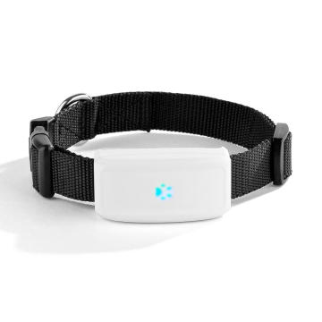 WiFi + GPS + LBS Positionnement Adsorption Charge Tk911 Pet Cat et chien GPS Suivi Locator Collier de chien